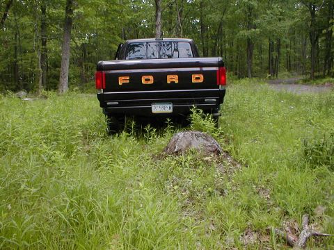 1991 Ford F-150 photo