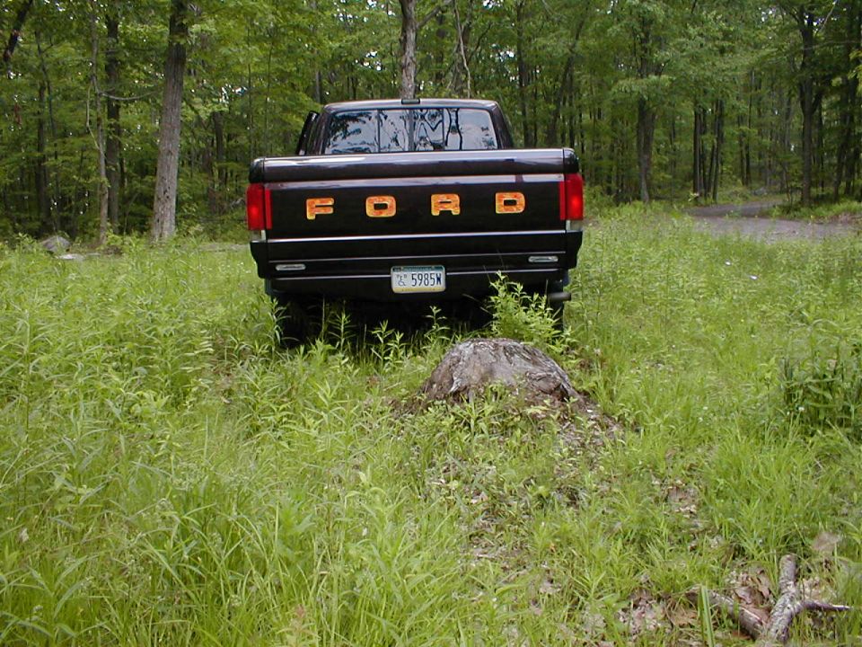 1991 Ford F-150 rear view in grassy area