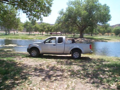 2005 Nissan Frontier - A silver 2005 Nissan Frontier pickup truck is parked on the grass next to a calm body of water under a large tree.