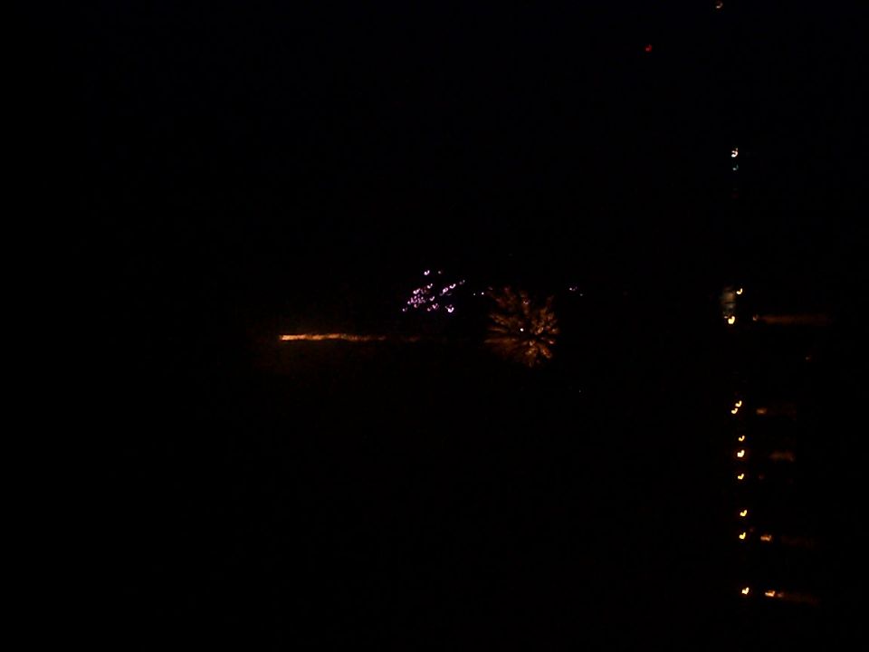 Fireworks explode in the night sky over a dark landscape with distant lights