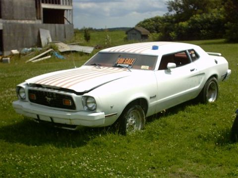 1978 Ford Mustang II - This white 1978 Ford Mustang II coupe, marked for sale, sits in a grassy field with racing stripes on its hood and roof.
