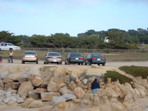 1995 Ford Taurus - Several sedans are parked on a dirt lot overlooking a rocky beach area.