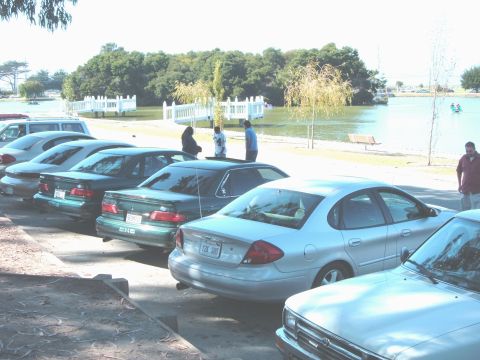 1995 Ford Taurus - A row of sedans are parked near a lake, with people visible in the distance.
