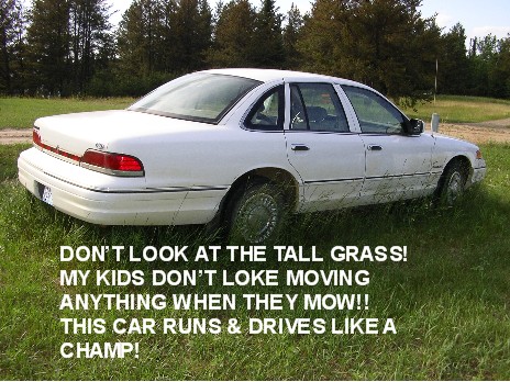 1998 Ford Crown Victoria - A white 1998 Ford Crown Victoria is parked in a grassy field with trees in the background.