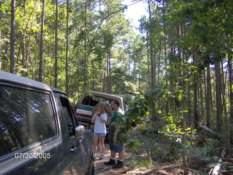 1978 Ford Bronco - A group of people stand near several vehicles in a wooded area.