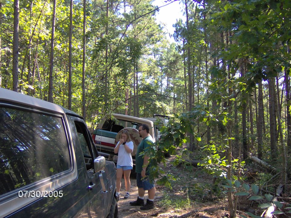 Dark green 1978 Ford Bronco parked on a dirt road in a forest