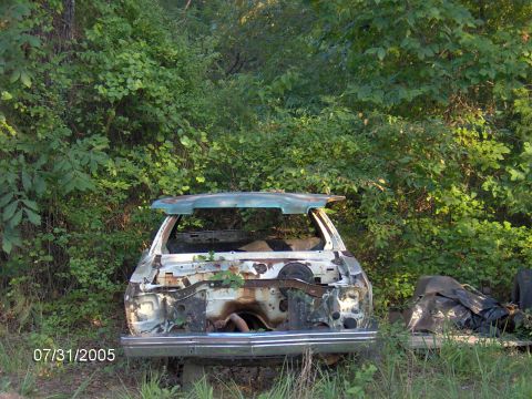 1978 Ford Bronco - This heavily damaged and overgrown vehicle appears to be a sedan, not a 1978 Ford Bronco.
