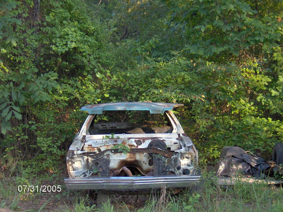 Rusted out car body sitting in overgrown brush. Date stamp 07/31/2005