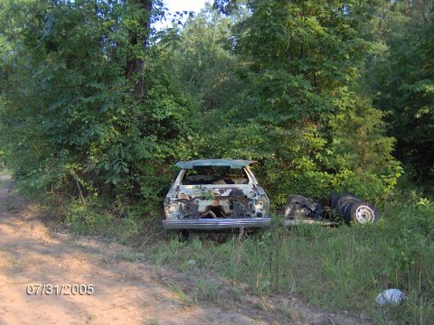 1978 Ford Bronco - An abandoned vehicle sits in a wooded area, stripped of its components and surrounded by debris.