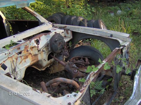 1978 Ford Bronco - This heavily rusted vehicle's engine compartment is overgrown with weeds, showing signs of long-term abandonment.