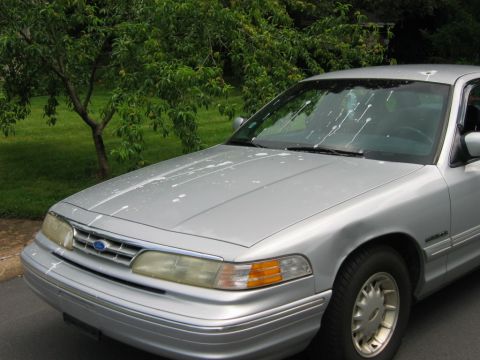 1985 Ford LTD Crown Victoria - Silver 1995 Ford Crown Victoria front view shows white splatters on hood and windshield.