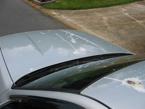 1985 Ford LTD Crown Victoria - A silver car's hood and windshield are covered in bird droppings, with a visible dent on the hood.