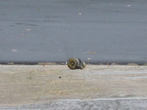 1985 Ford LTD Crown Victoria - A brass wheel cylinder rests on the ground next to a road.