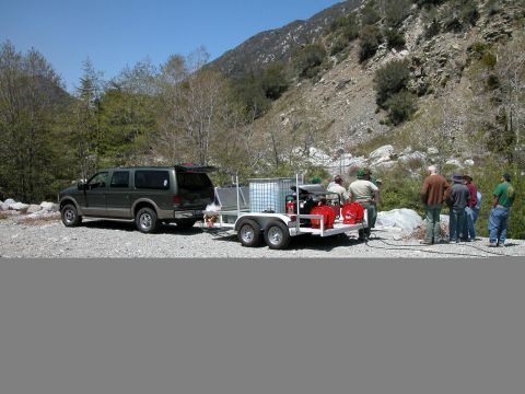 2002 Ford Excursion photo