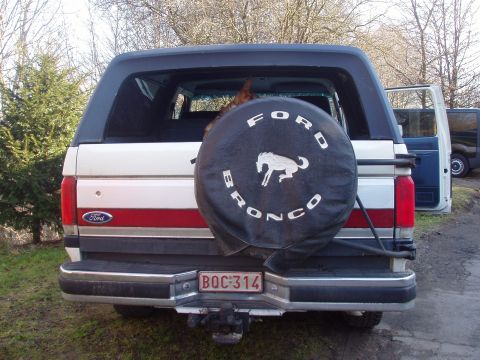 1988 Ford Bronco - Rear view of a 1988 Ford Bronco, complete with its iconic spare tire cover and license plate.