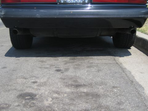 1985 Ford Mustang - The rear view of a car shows its exhaust pipes and a license plate with text.