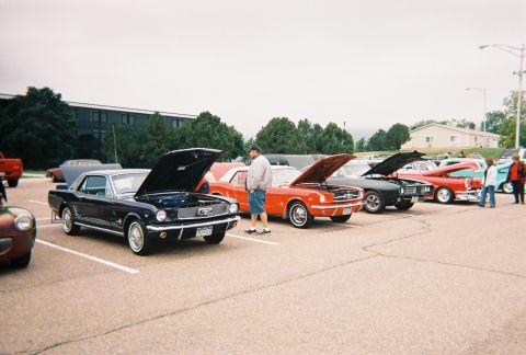 1972 Ford Ranchero - A car show features multiple Ford Mustangs with their hoods open, displaying their engines.