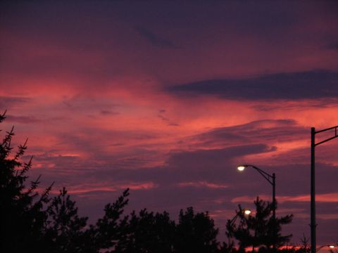 2001 Mercury Grand Marquis - A vibrant sunset paints the sky with hues of pink and purple, silhouetting trees and streetlights.