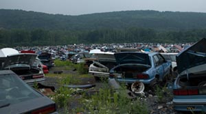1978 Ford Mustang II - A vast junkyard filled with numerous vehicles under a cloudy sky, with a wooded hillside in the background.