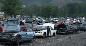 1978 Ford Mustang II - A wide view of a junkyard filled with numerous damaged vehicles under an overcast sky.