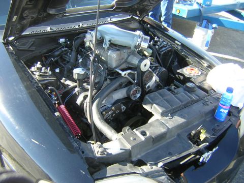 1998 Ford Crown Victoria - Under the hood of a vehicle showing a modified engine with a red cone air filter, braided lines and a blue washer fluid bottle nearby.