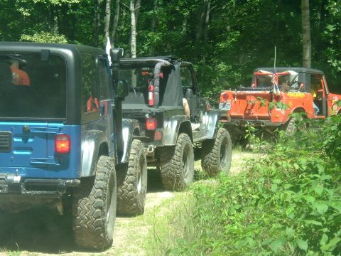 1982 Ford Bronco - A convoy of Jeeps navigates a wooded trail on a sunny day.
