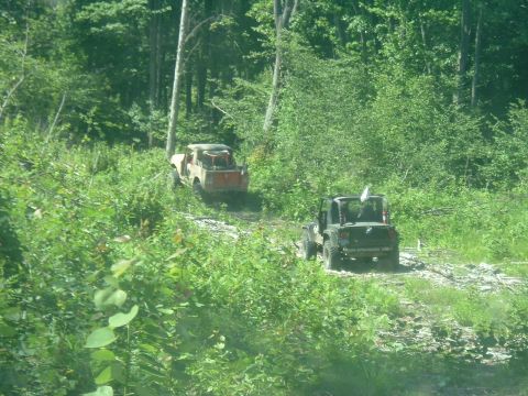 1982 Ford Bronco - Two off-road vehicles navigate a dirt track surrounded by lush green trees and undergrowth.