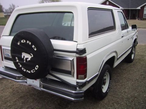 1984 Ford Bronco - Rear
