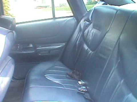 1994 Ford Crown Victoria - Interior view of a sedan's rear seats and door panel, showing blue leather upholstery and seatbelts.