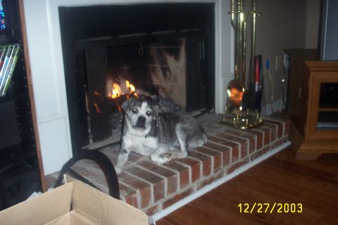 1979 Ford F-150 - A dog rests on the hearth of a fireplace with a fire lit on a winter day.