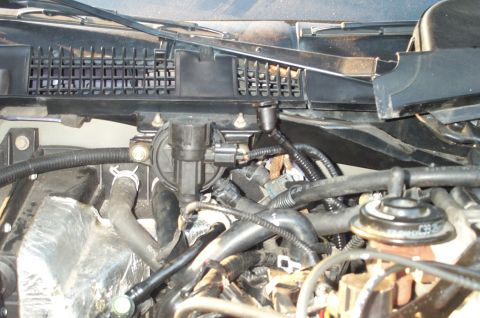 1998 Ford Crown Victoria - Where does this connector go on this 2001 engine?