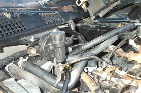 1998 Ford Crown Victoria - Another pic.