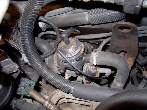 1990 Lincoln Town Car - Somewhere under that plumbing nightmare, on the passenger's side, are four plugs that need changing ! Note the previous owner's electrical…