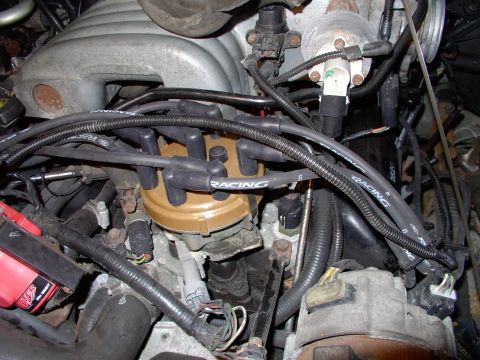 1990 Lincoln Town Car - Well routed, well seated and well seperated 9mm Ford Racing wires, ready to put a fire in the hole.