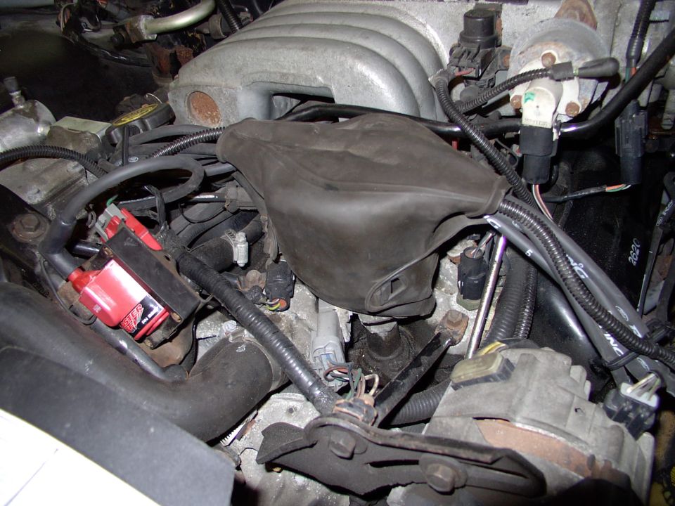 Even put the distributor weather condom back on for that stock look. Might have to spray that MSD coil black to really achieve that, though the black plug wires don't draw attention IMO.
