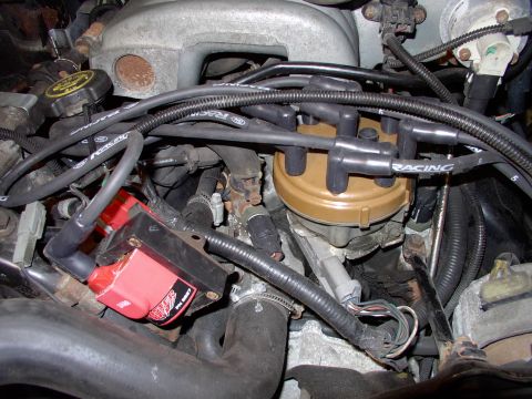 1990 Lincoln Town Car - The MSD coil kind of steals the show from an otherwise great new cap and rotor, with brass terminals no less.
