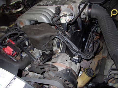 1990 Lincoln Town Car - All covered up and protected for another 15 years by the stock distributor weather condom again. Helps preserve that stock, untampered with…