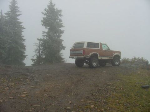 1981 Ford Bronco - A lifted Ford Bronco sits on a muddy incline, partially obscured by fog and trees.