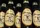 1997 Ford Probe - Several bottles of lager beer are lined up, showing their distinctive labels.
