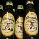 1997 Ford Probe - Several bottles of lager beer are lined up, with their labels clearly showing the brand and type.