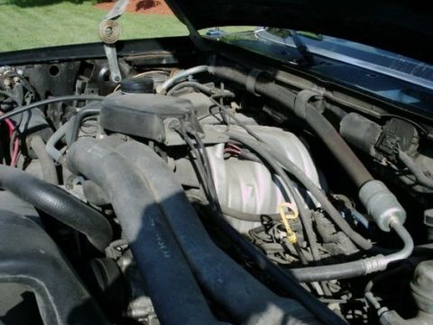 1992 Ford Bronco - Close-up view of an engine bay, showing various hoses and mechanical parts.