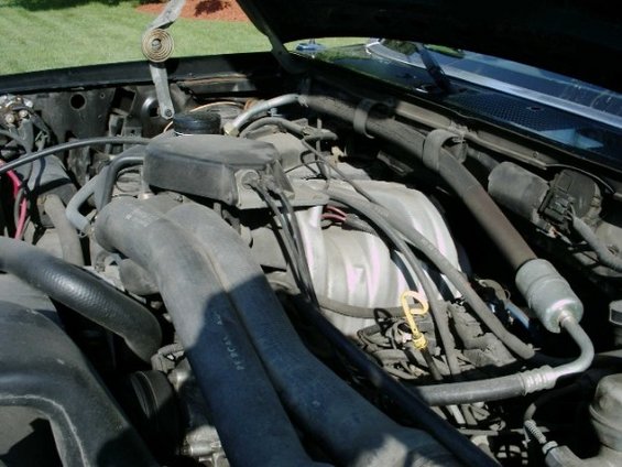 Fuel-injected V8 engine bay with aluminum intake manifold and yellow dipstick