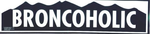 1992 Ford Bronco - Sticker with "BRONCOHOLIC" text and mountain graphic.