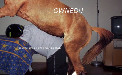 1992 Ford Probe - A humorous scene with a horse superimposed over a person, overlaid text and a website logo.