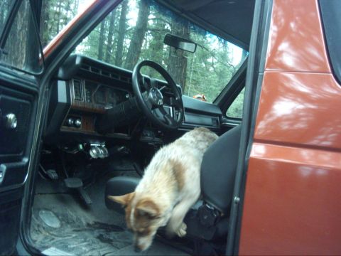 1988 Ford Bronco photo