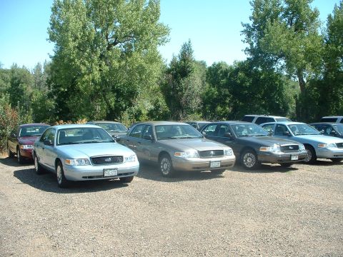 1999 Ford Crown Victoria - A dozen unmarked '05 Crown Vics waiting for equipment.