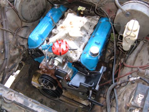 1978 Ford Bronco - Close-up view of a V8 engine, showing blue valve covers and a red distributor cap.