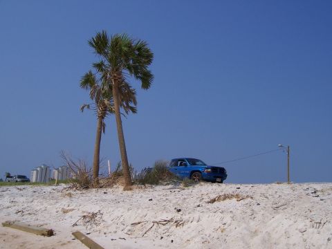 1995 Ford Bronco - A blue pickup truck sits on a sandy dune under a clear blue sky.
