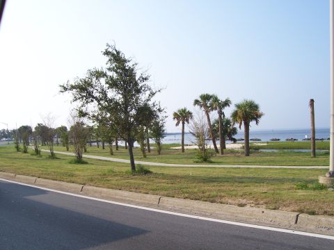1995 Ford Bronco - A scenic view of a park area with palm trees and the ocean in the background.