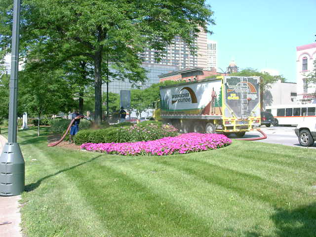 Truck with 'GROUNDCOVER SOLUTIONS' on its side, connected to a hose watering a flower bed. A bus and another vehicle are in the background
